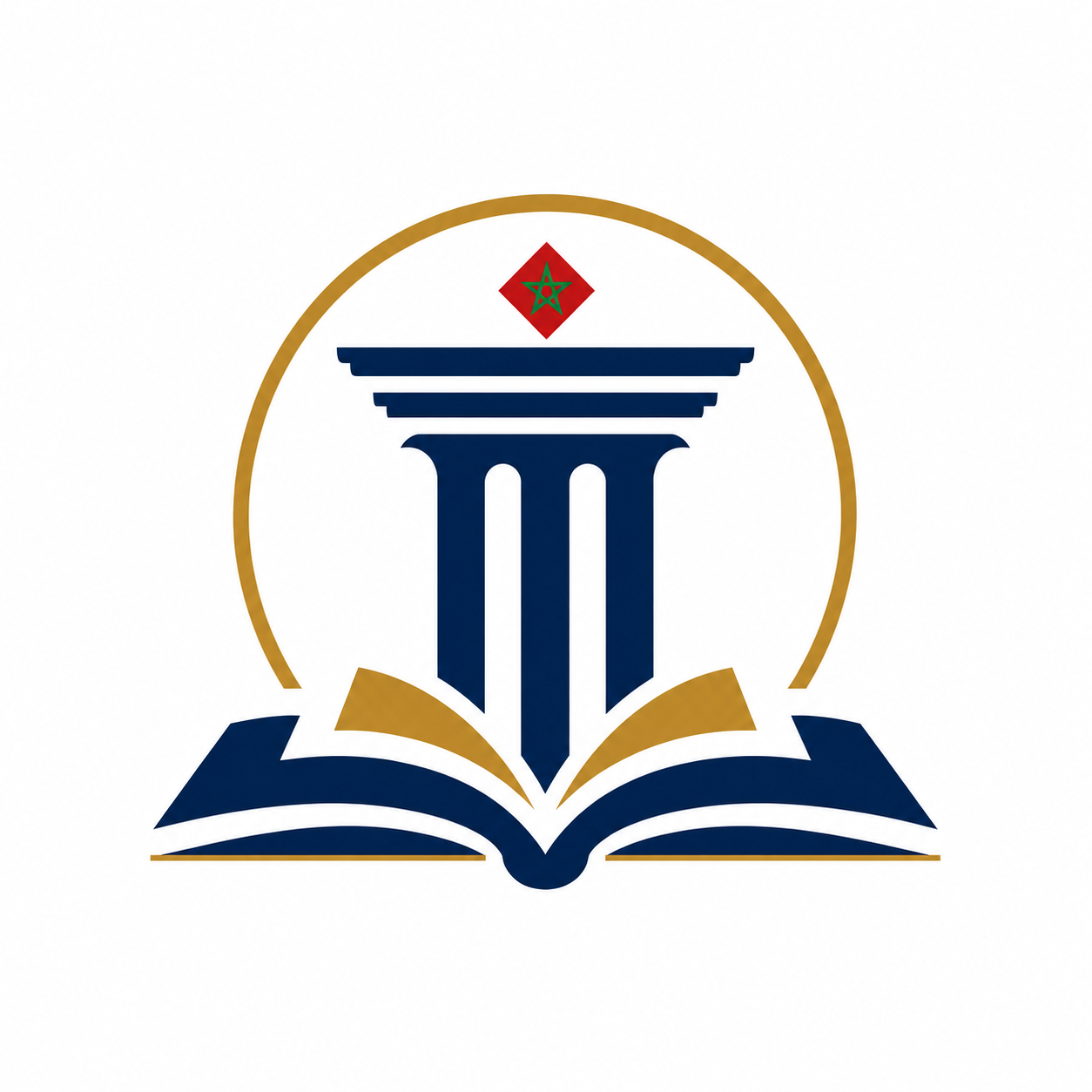 مدير المنصة